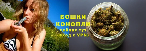 мескалин Новодвинск