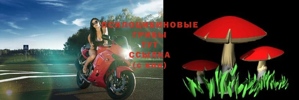 мескалин Новодвинск