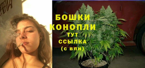 МДМА Шенкурск