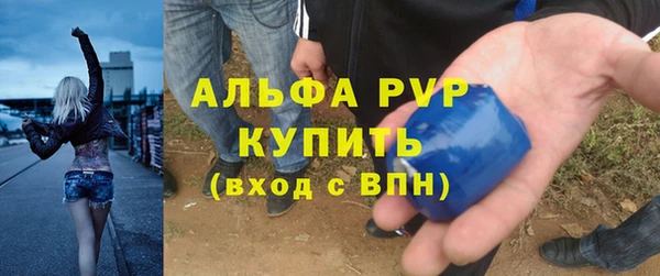 ECSTASY Шилка