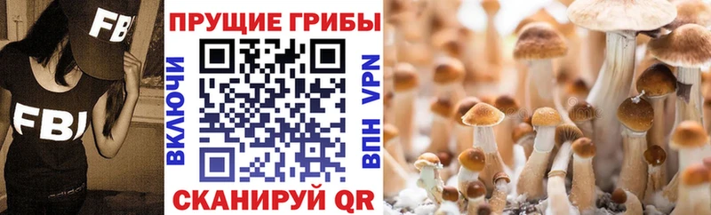Псилоцибиновые грибы прущие грибы  Прокопьевск 